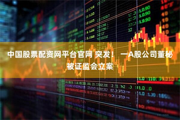 中国股票配资网平台官网 突发！ 一A股公司董秘被证监会立案