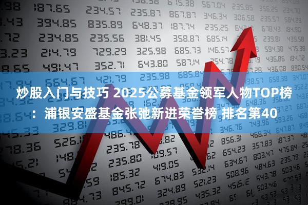 炒股入门与技巧 2025公募基金领军人物TOP榜：浦银安盛基金张弛新进荣誉榜 排名第40