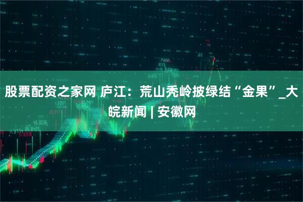 股票配资之家网 庐江：荒山秃岭披绿结“金果”_大皖新闻 | 安徽网